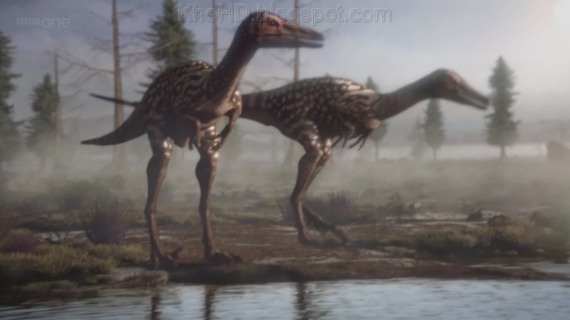planet dinosaur 2011